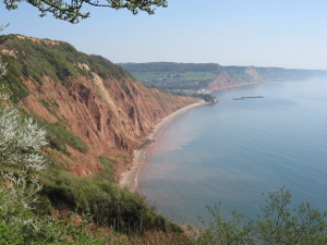 Sidmouth Cliffs by David Purchase